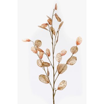 Artificial lunaria branch BUELNA, light brown, 3ft/105cm Artificial lunaria branch BUELNA, light brown, 3ft/105cm
