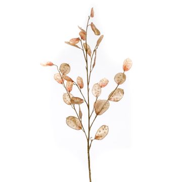 Artificial lunaria branch BUELNA, light brown, 3ft/105cm Artificial lunaria branch BUELNA, light brown, 3ft/105cm