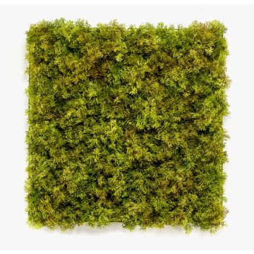 Decorative Iceland moss mat BEAS, crossdoor, flame resistant, 20"x20"/50x50cm
