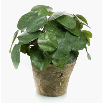 Artificial Chinese money plant SYBIL in terracotta pot, green, 9"/22cm