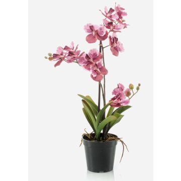 Artificial orchid Vanda flower CAMPO, light pink-pink, 24"/60cm