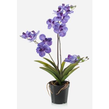 Artificial orchid Vanda flower CAMPO, violet, 24"/60cm