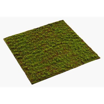 Artificial moss mat FERMIN, green, 3ftx3ft/100x100cm