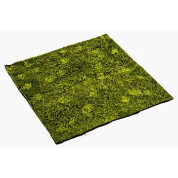 Artificial hypnum moss mat FERMIN, green, 3ftx3ft/100x100cm