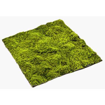 Artificial peat moss mat FERMIN, green, 3ftx3ft/100x100cm