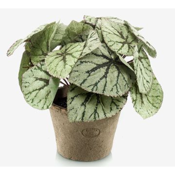 Artificial painted-leaf begonia MEIRA in terracotta pot, bushy, green-grey, 10"/25cm