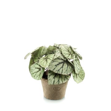 Artificial painted-leaf begonia MEIRA in terracotta pot, bushy, green-grey, 10"/25cm Artificial painted-leaf begonia MEIRA in terracotta pot, bushy, green-grey, 10"/25cm