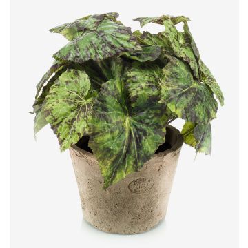 Artificial painted leaf begonia MEIRA in terracotta pot, bushy, green-black, 10"/25cm