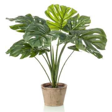 Artificial Philodendron Monstera Deliciosa BRITI, terracotta pot, 24"/60 cm
