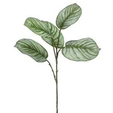 Artificial Calathea Orbifolia branch ALNIYAT, green-white, 30"/75 cm