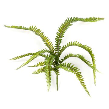 Artificial western sword fern ARVO on stick, 24"/60 cm, Ø 28"/70 cm Artificial western sword fern ARVO on stick, 24"/60 cm, Ø 28"/70 cm