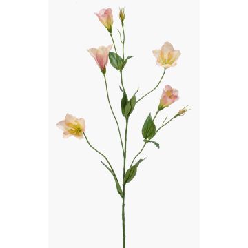 Fake Lisianthus PAZAN, pink-cream, 28"/70 cm