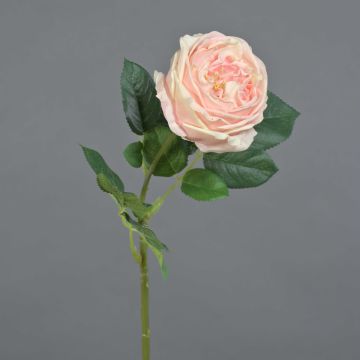 Silk flower cabbage rose CATINCA, pale pink, 24"/60 cm