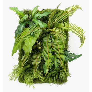 Artificial fern alocasia hedge / mat ALTERE green, 24"x16"/60x40cm