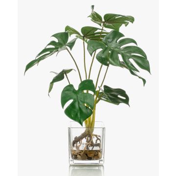 Fake Philodendron Monstera Deliciosa PAVONIS in glass pot, 16"/40 cm