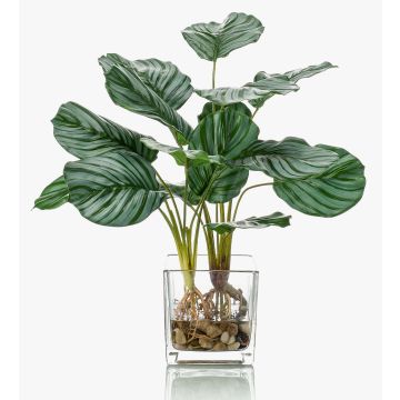 Artificial Calathea Orbifolia AGINA in glass pot, green-white, 18"/45 cm