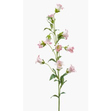 Silk bellflower AIMI, pink-cream, 3ft/90 cm