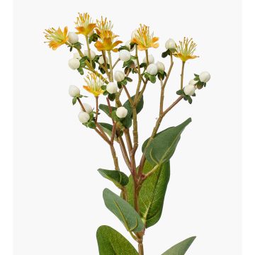 Fake St. John's wort CANNO with flowers, fruits, yellow-white, 26"/65 cm Fake St. John's wort CANNO with flowers, fruits, yellow-white, 26"/65 cm