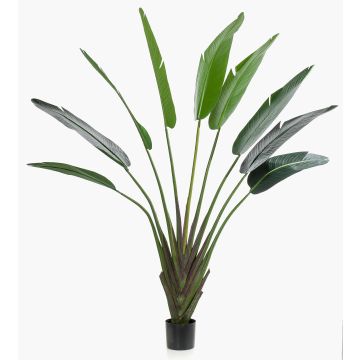 Artificial traveller's tree DARCEL, green, 6ft/180 cm