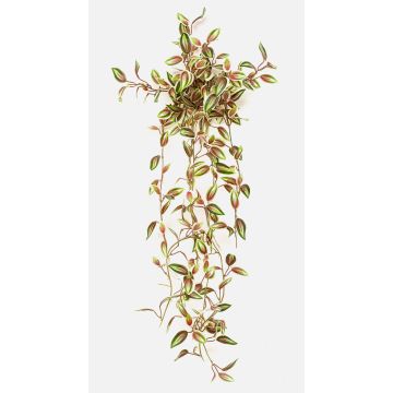 Artificial Tradescantia zebrina 'DIHALLO' on a stake, hanging, green and red, 28"/70cm