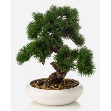 Artificial bonsai pine MIRSANDA in bonsai bowl, 14"/35cm