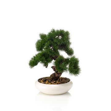 Artificial bonsai pine MIRSANDA in bonsai bowl, 14"/35cm Artificial bonsai pine MIRSANDA in bonsai bowl, 14"/35cm