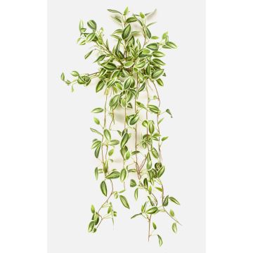 Artificial Tradescantia zebrina 'DIHALLO' on a stake, hanging, green-white, 28"/70cm