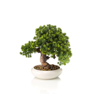 Artificial bonsai larch MIRSANDA in bonsai bowl, 14"/35cm Artificial bonsai larch MIRSANDA in bonsai bowl, 14"/35cm