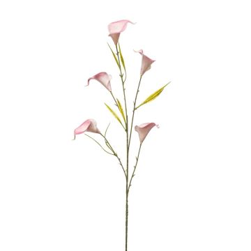 False branch Calla lily KASUMI, pink-white, 33"/85cm False branch Calla lily KASUMI, pink-white, 33"/85cm