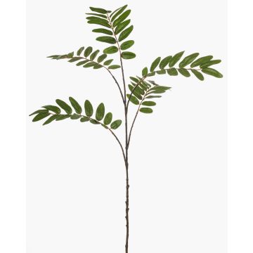 Decorative mahogany branch MANIESA, green, 3ft/105cm Decorative mahogany branch MANIESA, green, 3ft/105cm