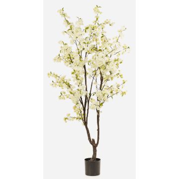 Artificial cherry blossom tree JANKFUN with blossoms, artificial trunk, white, 7ft/210cm Artificial cherry blossom tree JANKFUN with blossoms, artificial trunk, white, 7ft/210cm