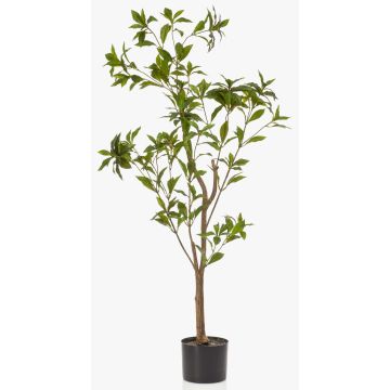 Artificial tea plant GUSHON, artificial trunk, green, 4ft/120cm Artificial tea plant GUSHON, artificial trunk, green, 4ft/120cm