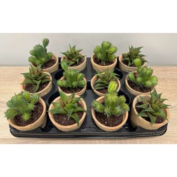 Artificial succulent arrangement GLAVEN in a terracotta pot, 12 pieces, green, 12–13 cm