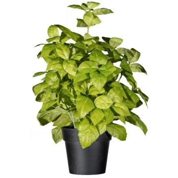 Artificial basil WONDYR in decorative pot, green, 12"/30cm Artificial basil WONDYR in decorative pot, green, 12"/30cm
