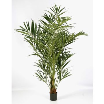 Artificial Kentia palm OMAYRA, flame-retardant, 7ft/225cm