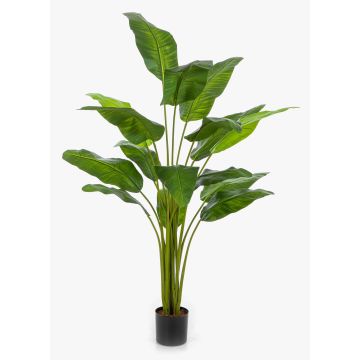 Artificial Traveller's tree COSINO, 6ft/170cm Artificial Traveller's tree COSINO, 6ft/170cm