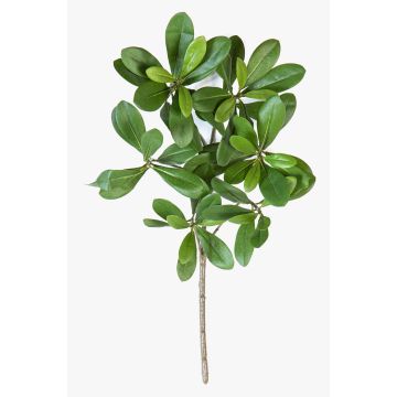 Artificial Klebsamen branch MASON, flame-retardant, green, 16"/40cm Artificial Klebsamen branch MASON, flame-retardant, green, 16"/40cm