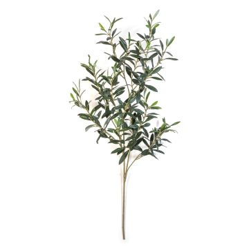 Artificial olive branch LORRIS, flame-retardant, green, 4ft/110cm Artificial olive branch LORRIS, flame-retardant, green, 4ft/110cm