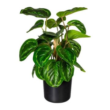 Artificial plant: Calathea Medaillon STRAHN, green, 18"/45cm Artificial plant: Calathea Medaillon STRAHN, green, 18"/45cm