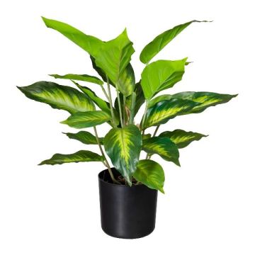 Artificial Dieffenbachia PLUHON plant, roots, dark green, 18"/45cm Artificial Dieffenbachia PLUHON plant, roots, dark green, 18"/45cm