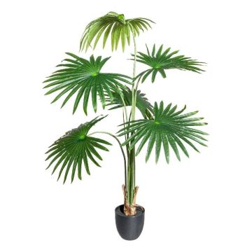 Artificial Washingtonia FENHAL palm in decorative pot, 4ft/120cm