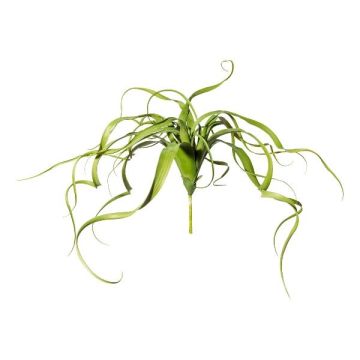 Artificial succulent Tillandsia streptophylla KRIFT, spike, green, 26"/65cm