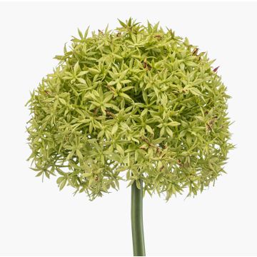 Artificial allium PRAXEN, green, 90cm