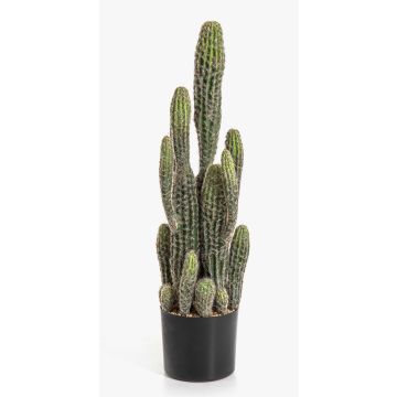 Fake San Pedro cactus FARIN, green, 75cm