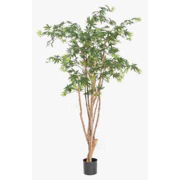 Artificial Japanese maple tree ILIANU, real trunks, green, 6ft/180cm Artificial Japanese maple tree ILIANU, real trunks, green, 6ft/180cm
