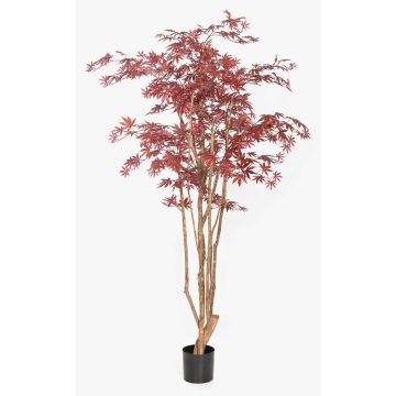 Artificial Japanese maple tree ILIANU, real trunks, red, 6ft/180cm Artificial Japanese maple tree ILIANU, real trunks, red, 6ft/180cm
