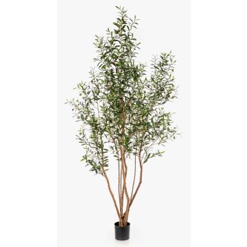 Artificial olive tree JALO with fruit, real trunk, green, 7ft/220cm