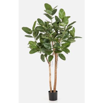 LEIFA artificial banyan fig tree with vines, real trunk, green, 170 cm