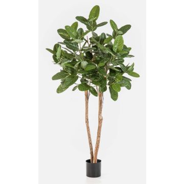 Artificial banyan fig tree LEIFA with vines, natural trunk, green, 7ft/200cm Artificial banyan fig tree LEIFA with vines, natural trunk, green, 7ft/200cm