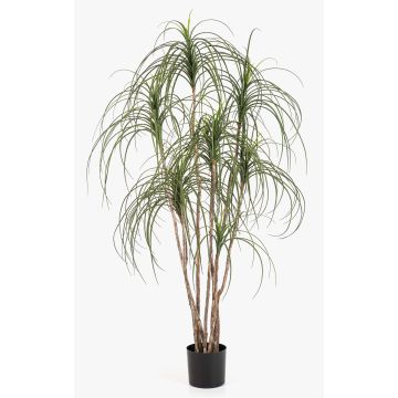 Artificial Elephant’s Foot Tree ALWINA, natural trunk, green, 150 cm